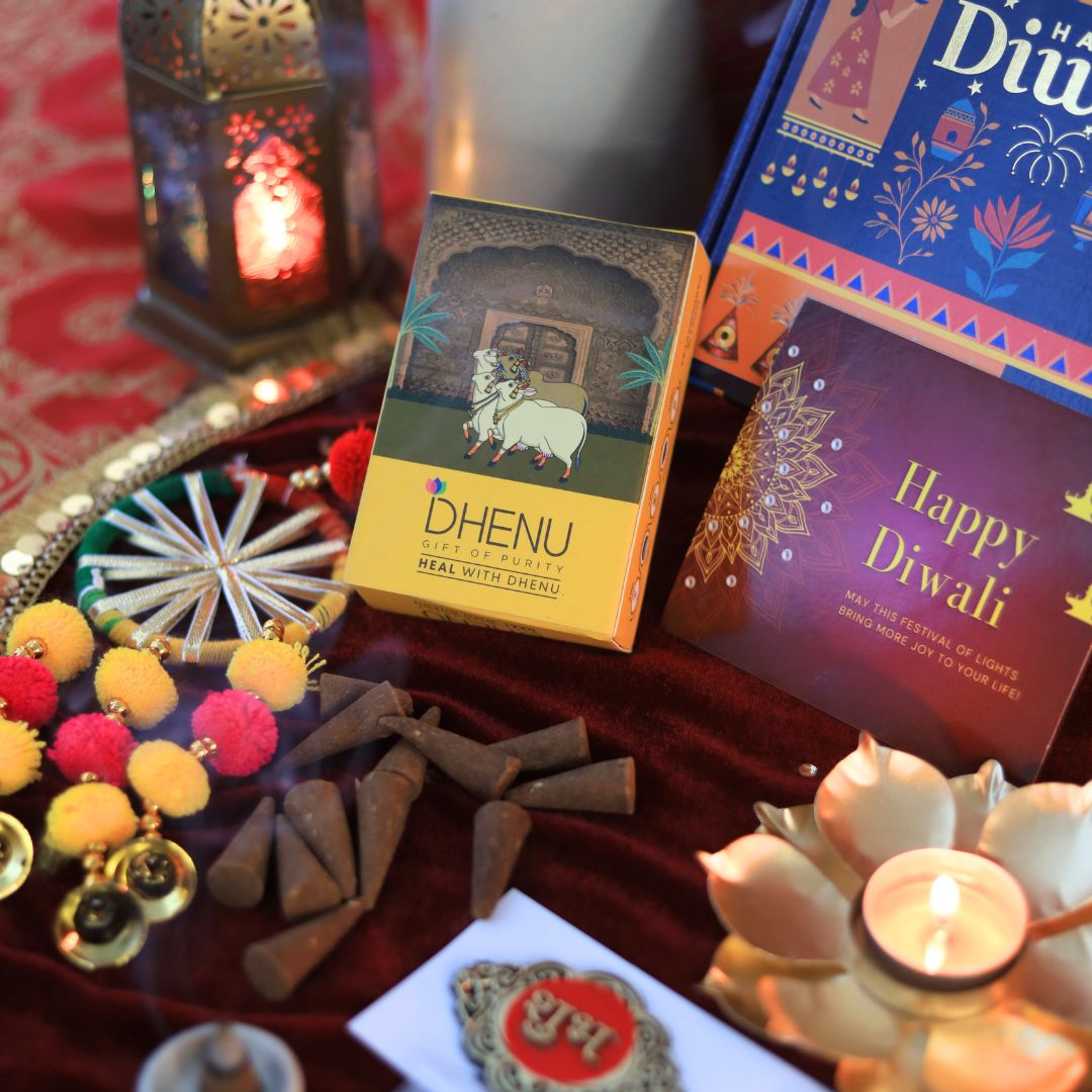 Dhenu Festive Fusion Combo