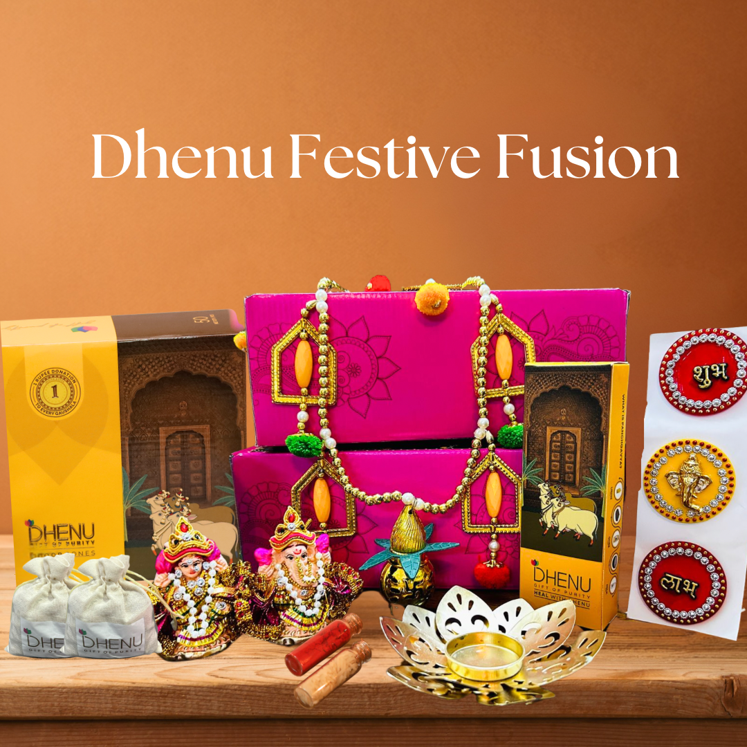 Dhenu Festive Fusion Combo